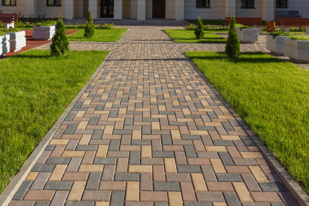 Best Driveway Paving Contractor  in New London, WI